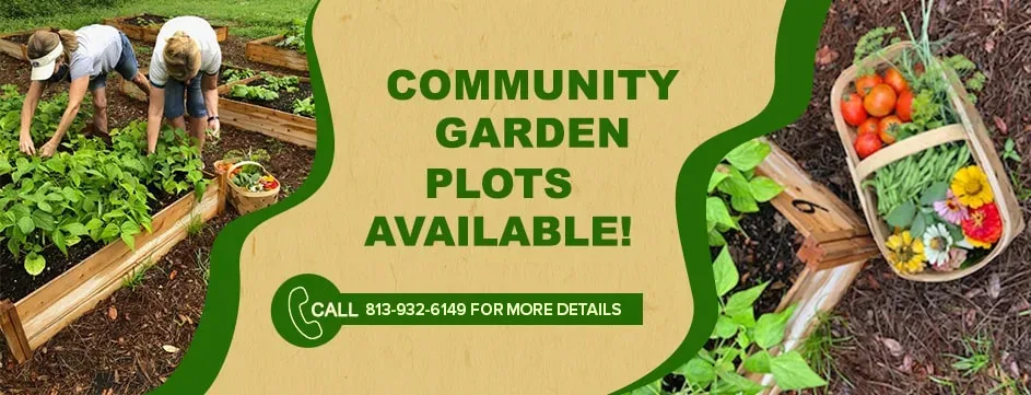 community-garden-available-min-1-jpg2